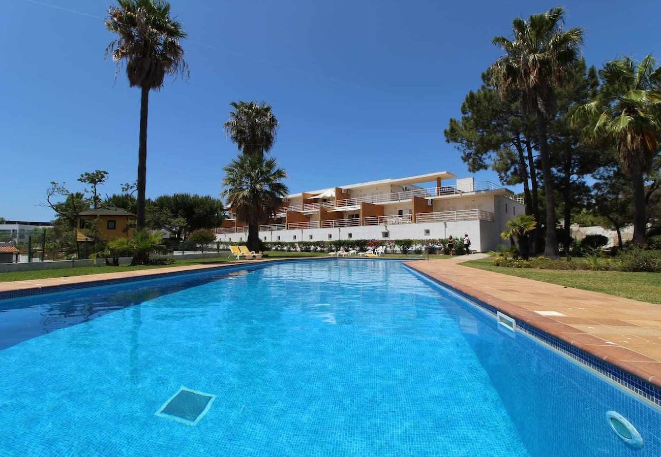 Apartamento em Albufeira - Apartamento T2 com Piscina na Praia Castelo - Albufeira