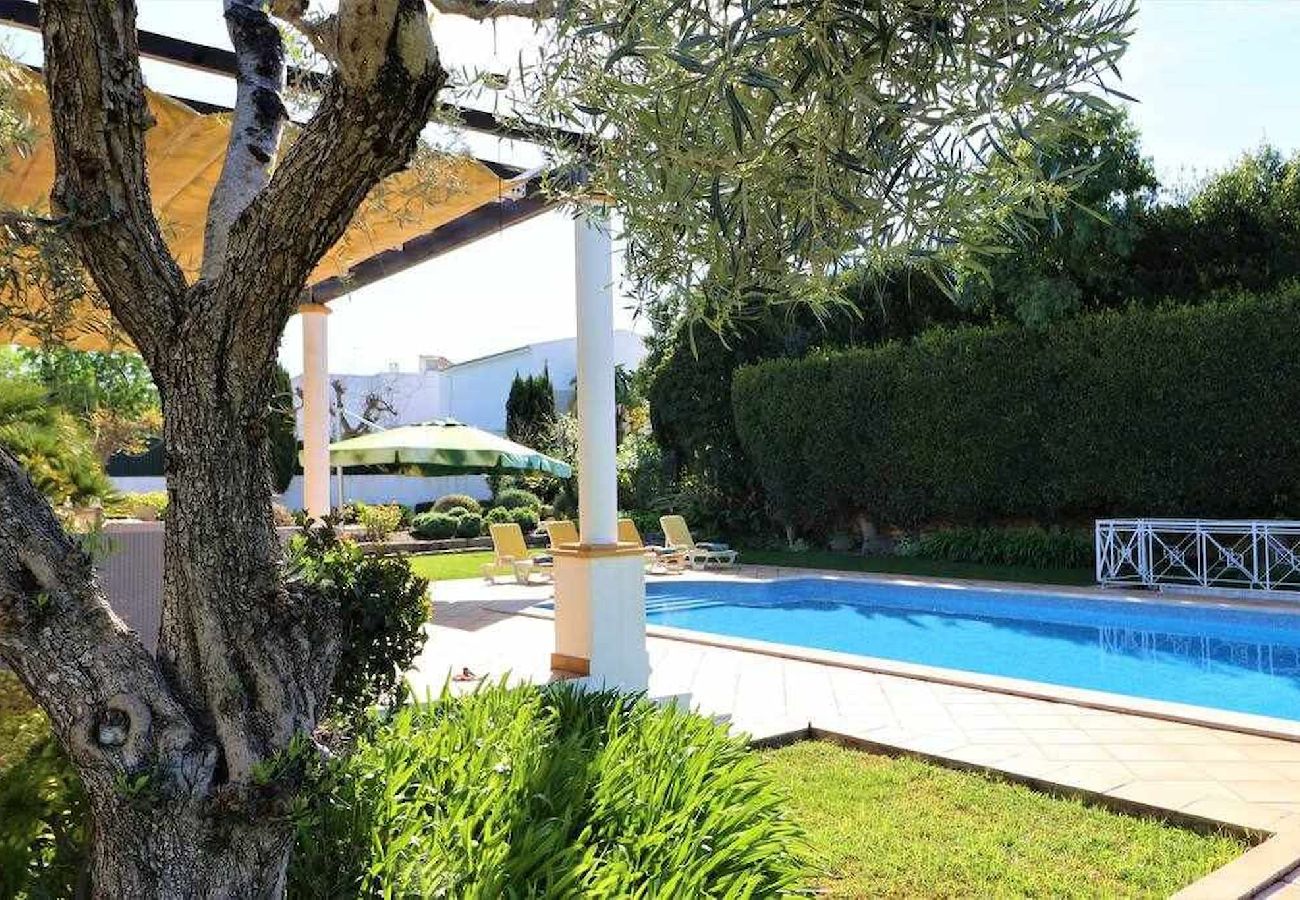 Villa em Boliqueime - Villa Joia - Moradia V3 com Piscina em Boliqueime - Algarve